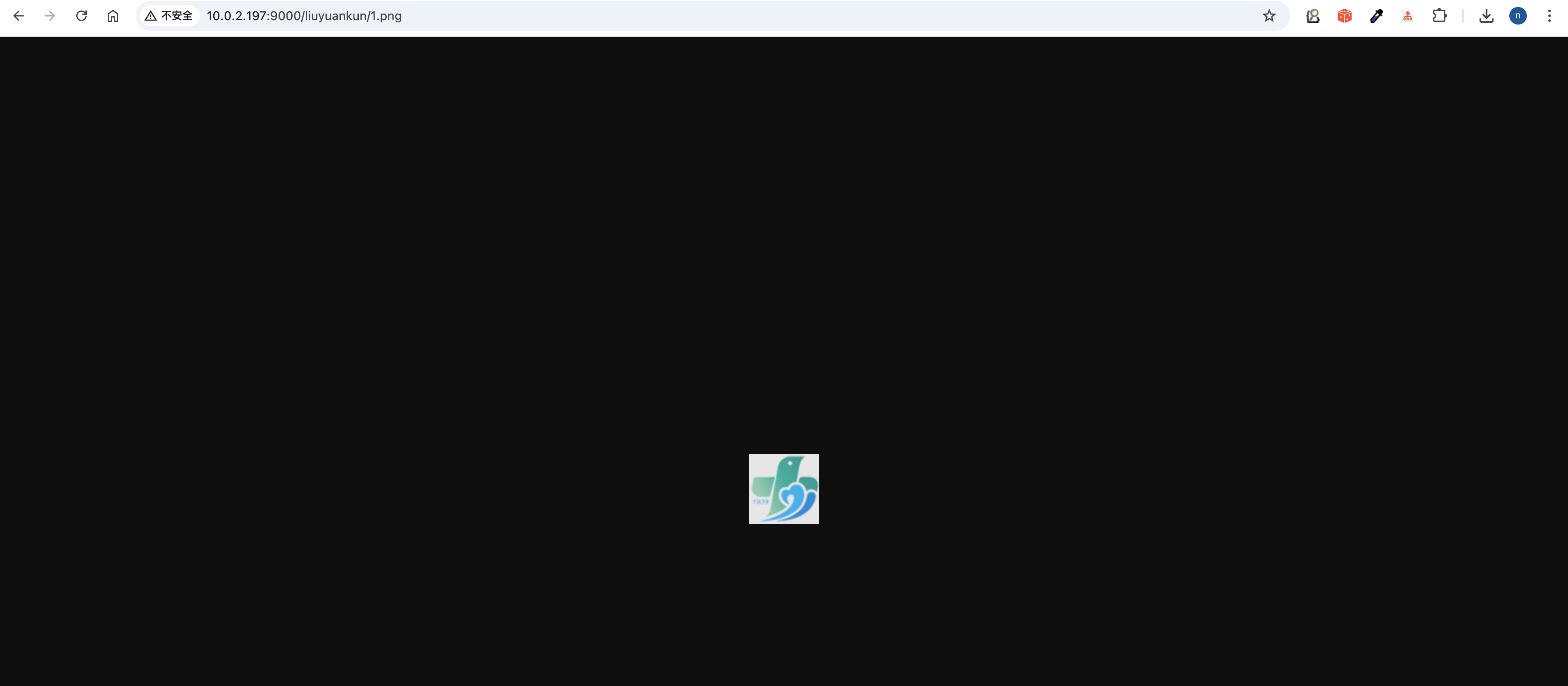 image-20241213103952102